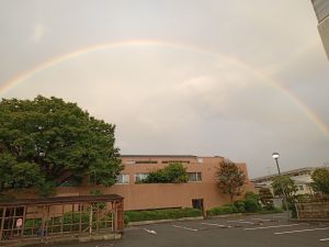 大きな虹