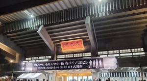 エレファントカシマシ武道館ライブ