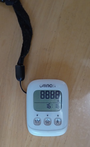 ８８８８歩歩いた証拠写真